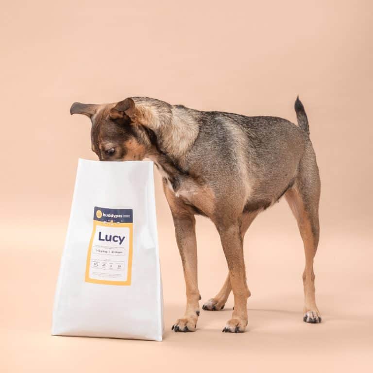 Lucy kijkt in haar zak hondenvoeding van BuddyBites.