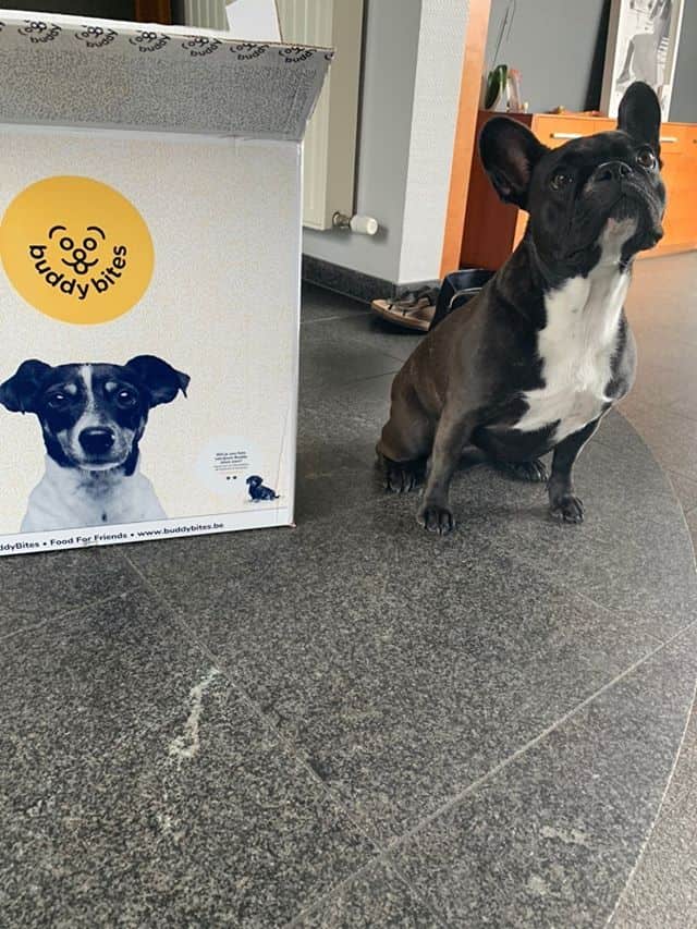 beste hondenvoeding franse bulldog