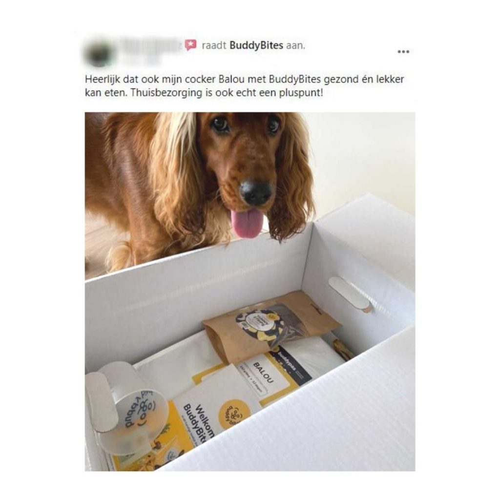 Schattige cockerspaniël met tong uit zijn bek bij doos hondenvoeding van BuddyBites
