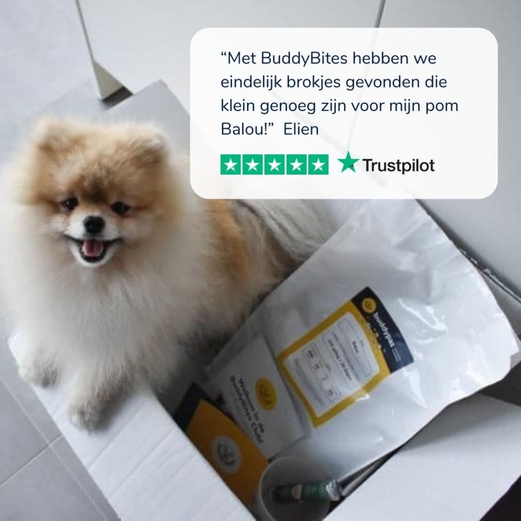 Schattig pluizig dwergkeeshondje met open bek zit in doos met hondenvoeding van BuddyBites