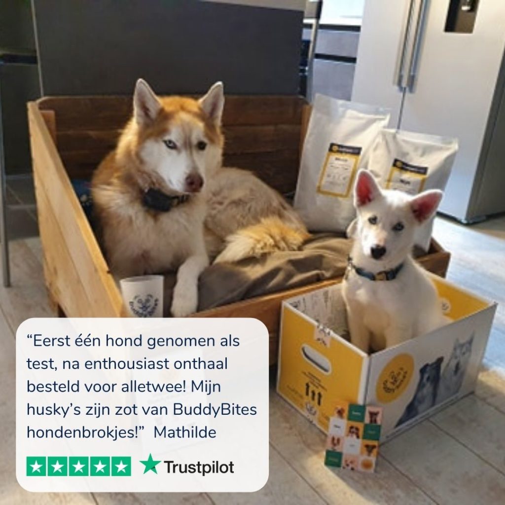 Twee husky's in dozen hondenvoeding van BuddyBites review