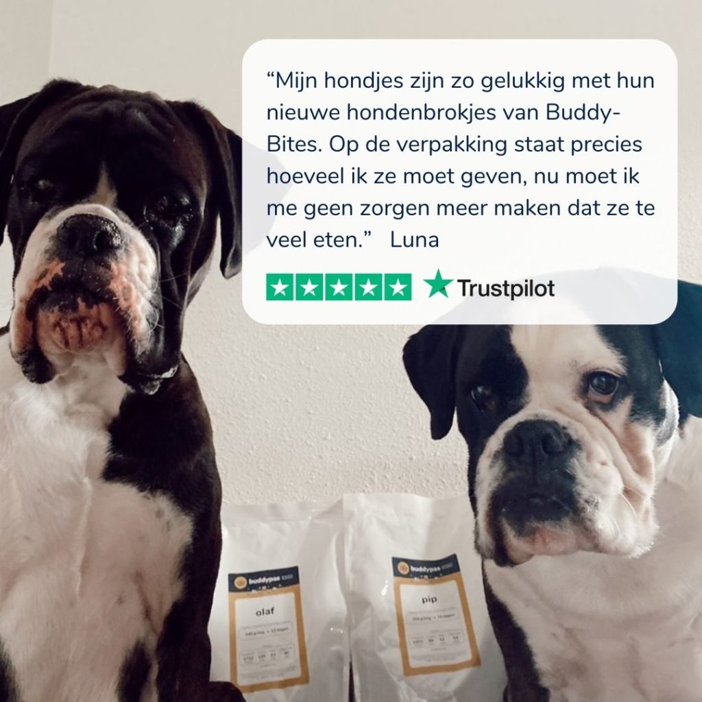Bulldogs Pip en Olaf met witte achtergrond bij zakken hondenvoeding van BuddyBites