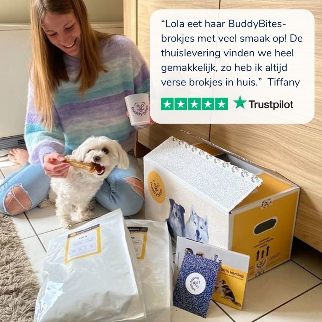 Maltezer lola staat bij baasje en zakken hondenvoeding op maat van BuddyBites