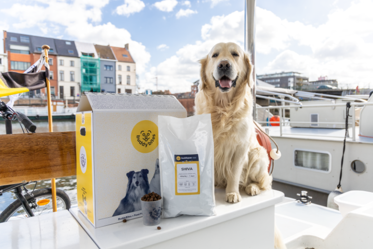Blije golden retriever zit naast hondenvoeding van BuddyBites - de beste hondenvoeding voor golden retrievers