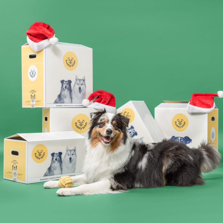 Je hond verwennen met kerst - BuddyBites
