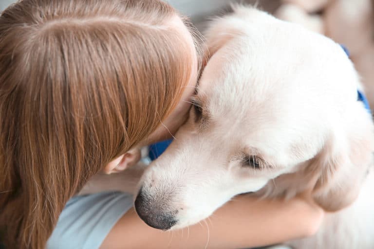 Top 12 kindvriendelijke hondenrassen - BuddyBites