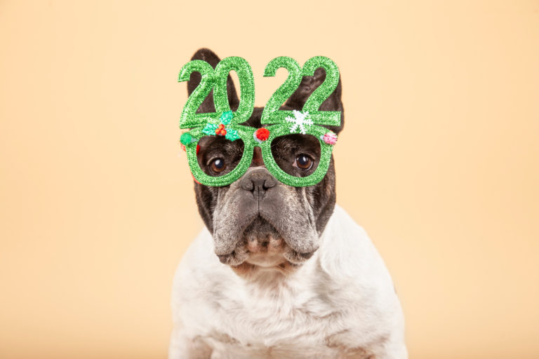 10 goede voornemens voor 2022 waar ook je hond gelukkig van wordt - BuddyBites