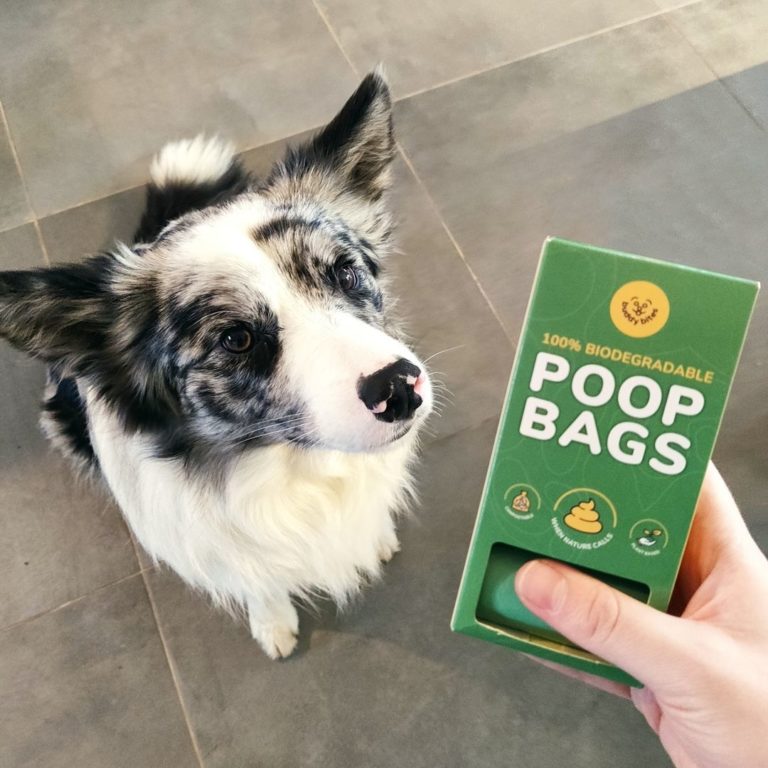 100% biodegradeerbare poepzakjes voor honden