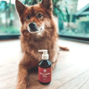 Duurzame Schotse Zalmolie voedingssupplement hond voor een glanzende en gezonde vacht - BuddyBites